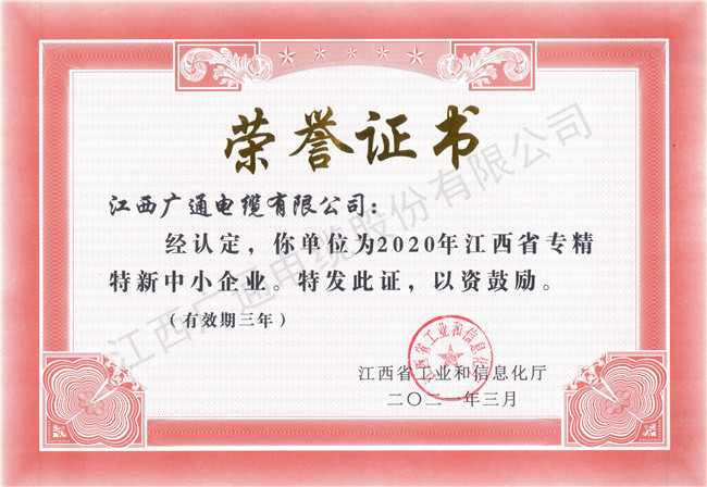 2020專精特新中小企業(yè)